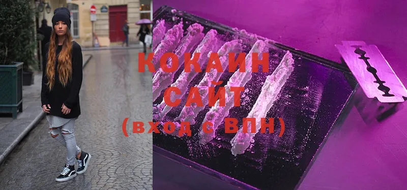 COCAIN Fish Scale  ссылка на мегу зеркало  Завитинск 